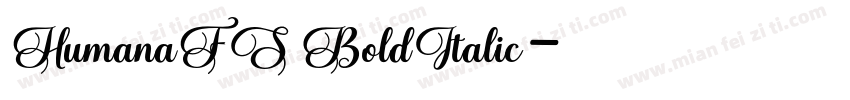 HumanaFS BoldItalic字体转换